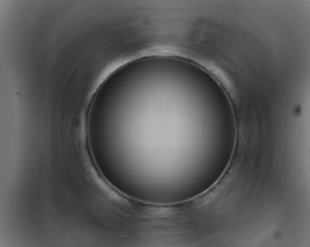 X0000101211382200807071328