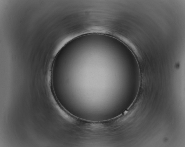 X0000101211383200807071328