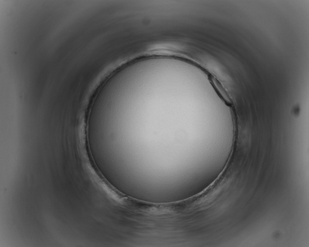 X0000101211384200807071328