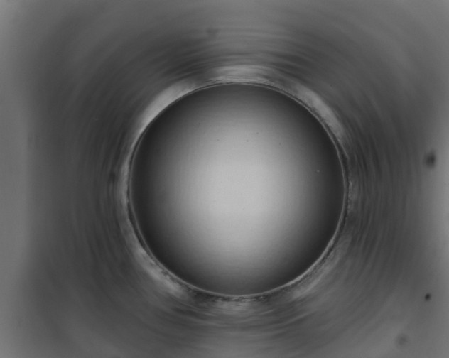 X0000101211386200807071328