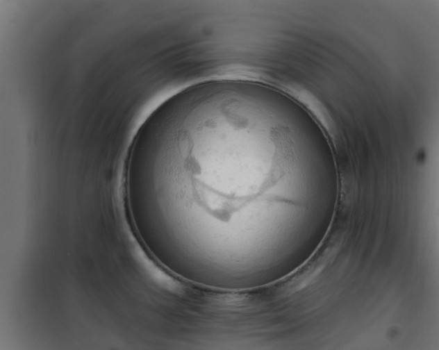 X0000101211387200807071328