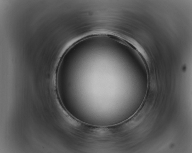 X0000101211388200807071328