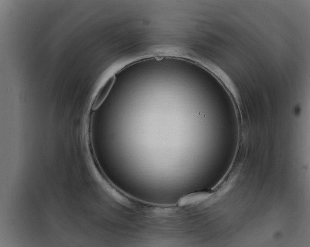 X0000101211389200807071328