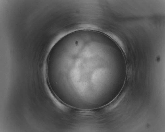 X0000101211391200807071328