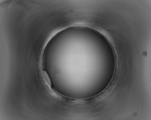 X0000101211392200807071328