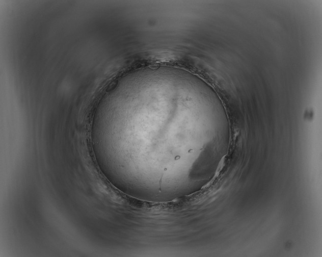 X0000101211393200807071327