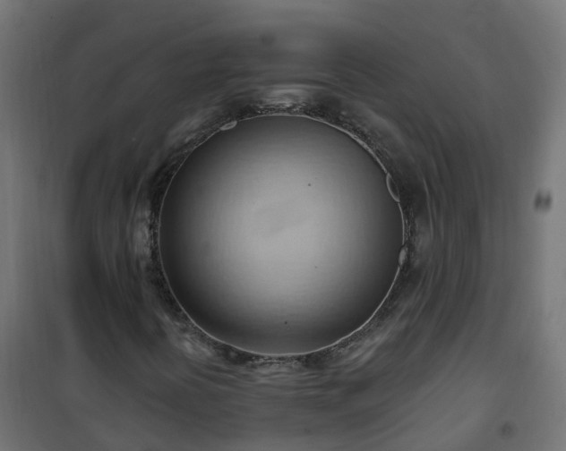 X0000101211394200807071327