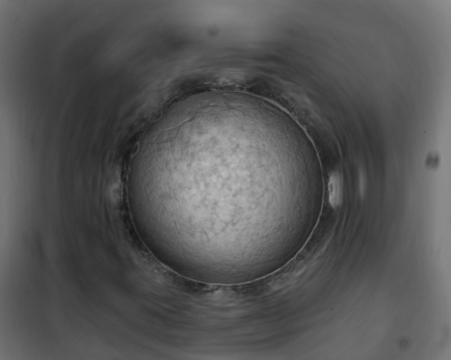 X0000101211395200807071327