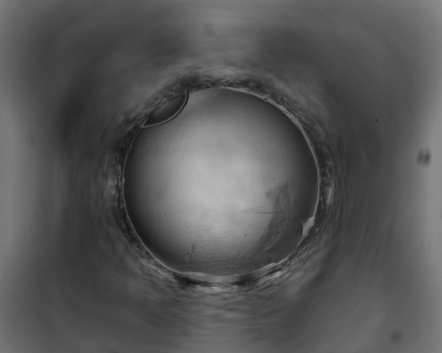 X0000101211397200807071327