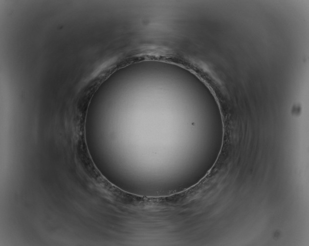 X0000101211399200807071327