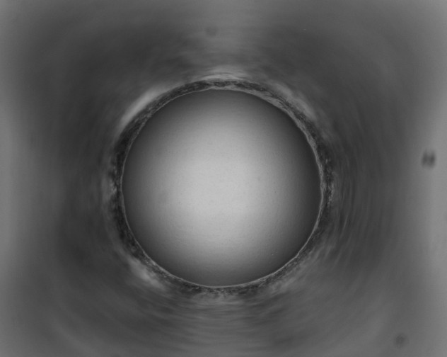 X0000101211400200807071327