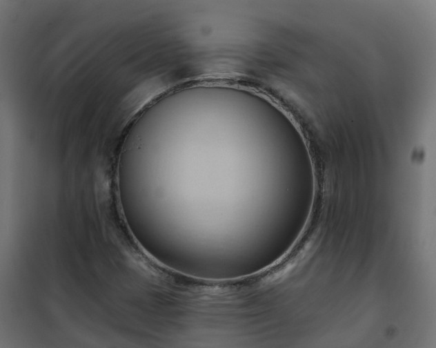 X0000101211401200807071327