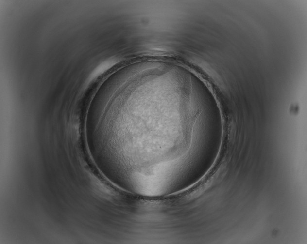 X0000101211402200807071327