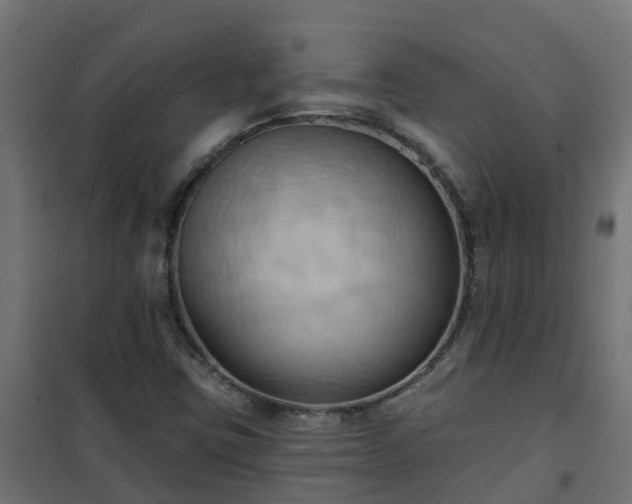 X0000101211403200807071327