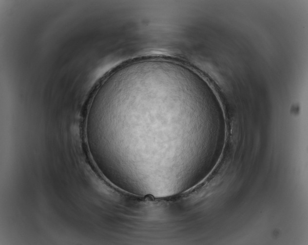 X0000101211404200807071327