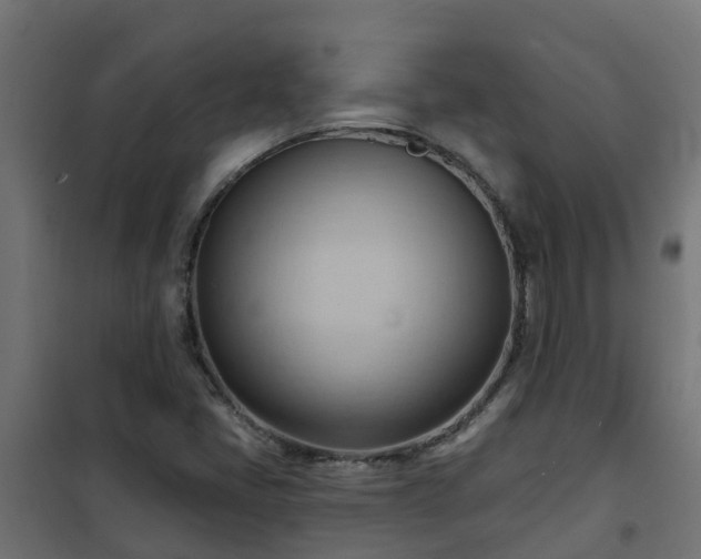 X0000101211405200807071328