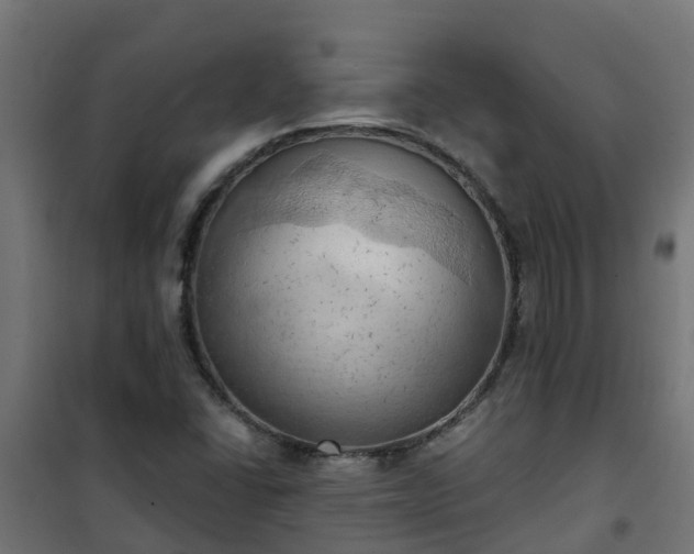 X0000101211406200807071328