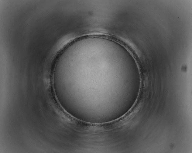 X0000101211407200807071328