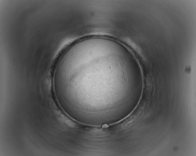 X0000101211408200807071328