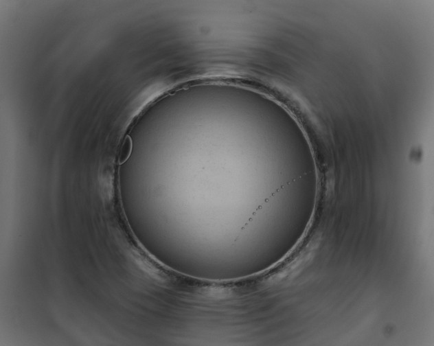 X0000101211409200807071328