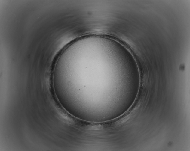 X0000101211410200807071328