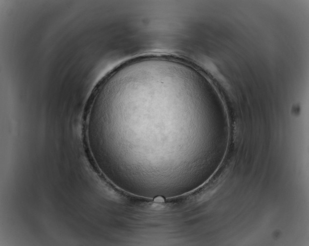 X0000101211412200807071328