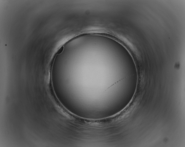 X0000101211413200807071328