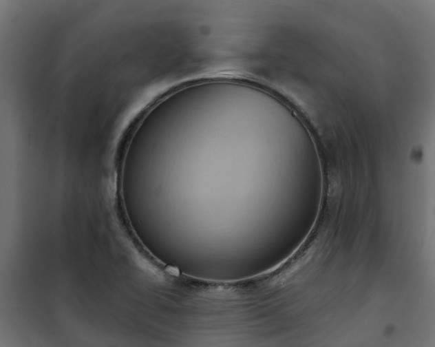 X0000101211414200807071328