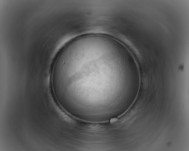 X0000101211416200807071328