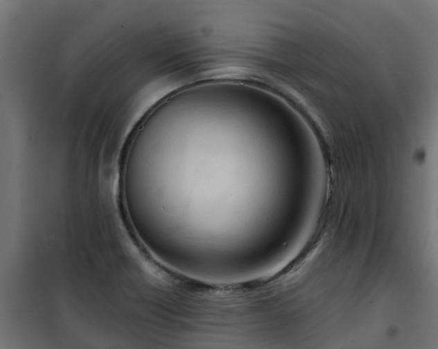 X0000101211418200807071328