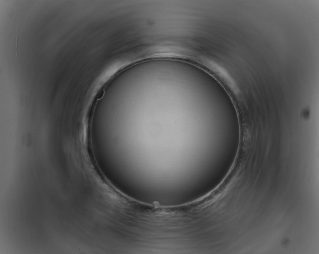 X0000101211419200807071328