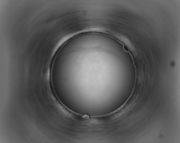 X0000101211420200807071328