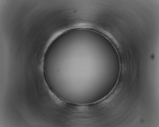 X0000101211421200807071328