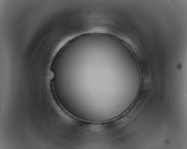 X0000101211422200807071328