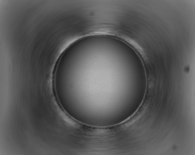 X0000101211423200807071328