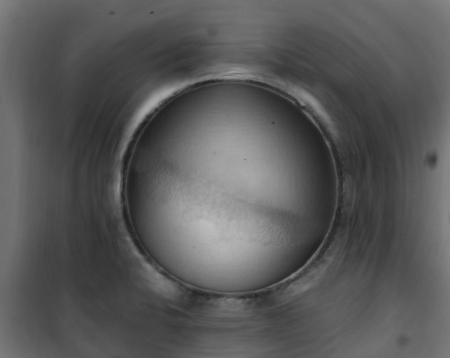 X0000101211424200807071328