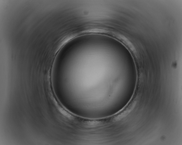 X0000101211425200807071328