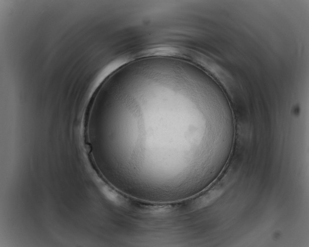 X0000101211426200807071328