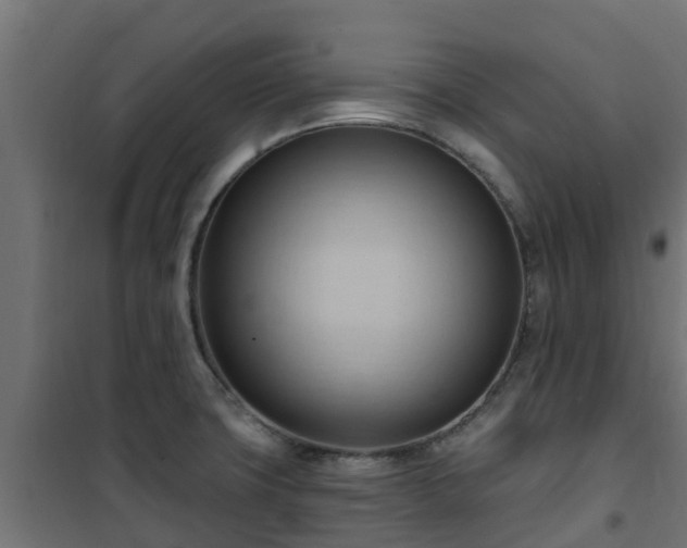 X0000101211427200807071328