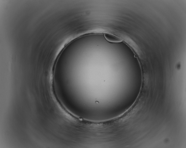 X0000101211428200807071328