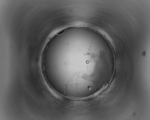 X0000101211429200807071328