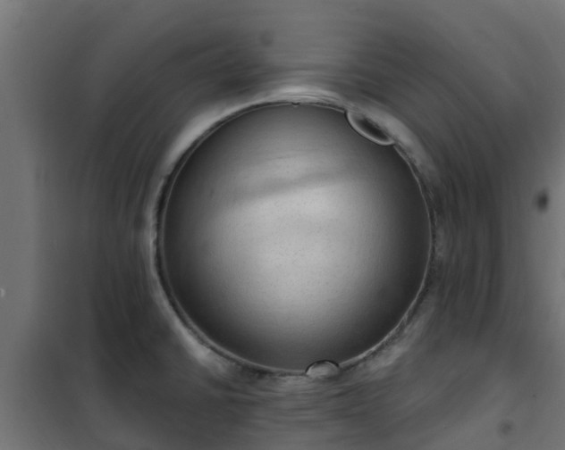 X0000101211430200807071328