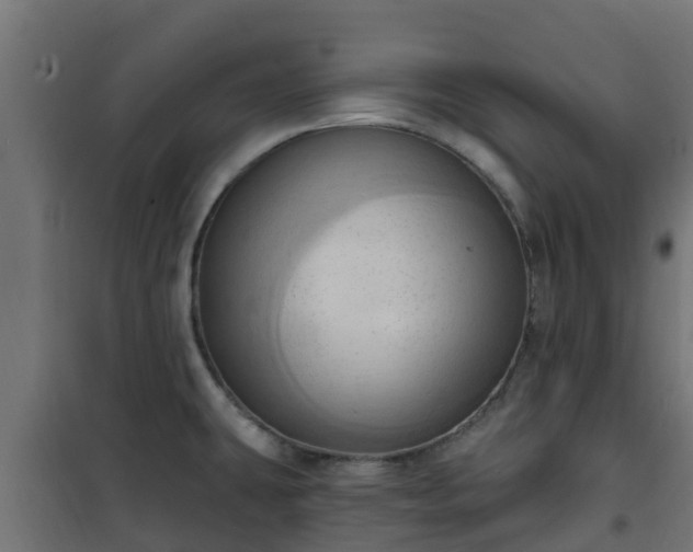 X0000101211431200807071328