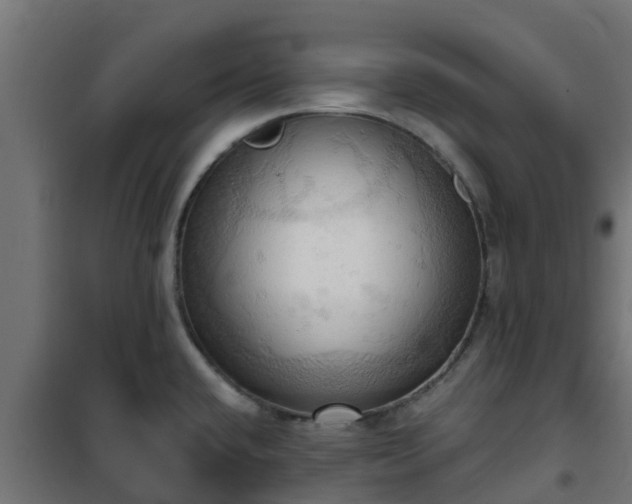 X0000101211432200807071328