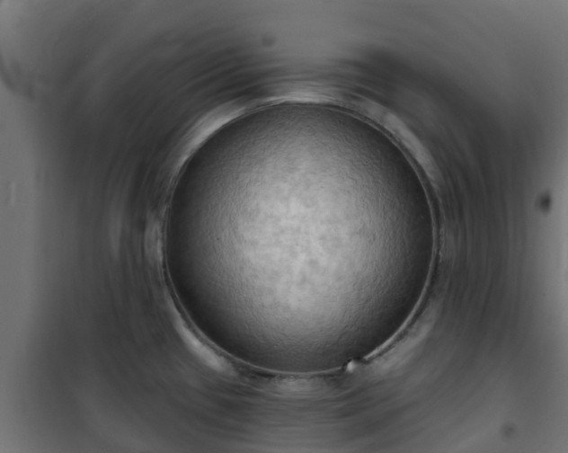 X0000101211433200807071328