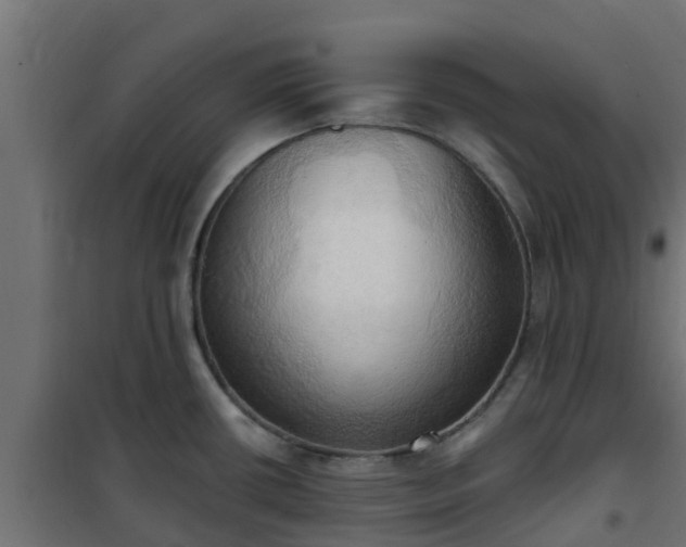 X0000101211434200807071328