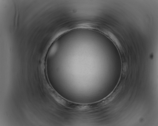 X0000101211435200807071328