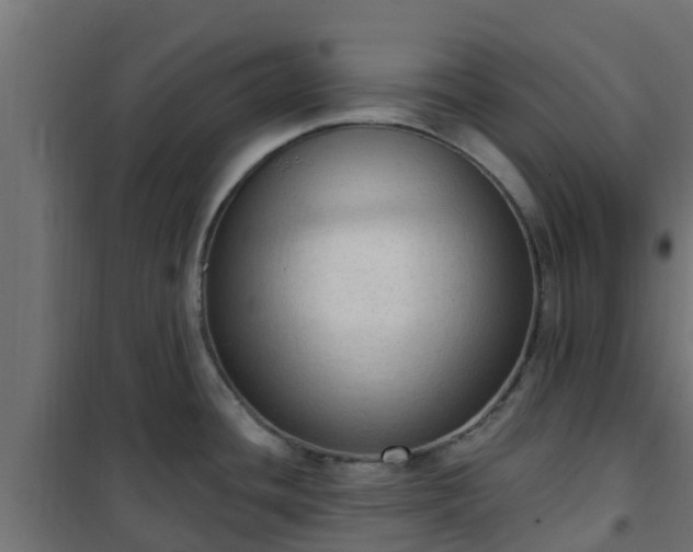 X0000101211436200807071328