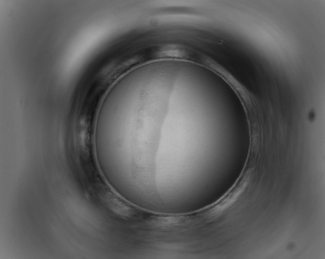 X0000101211438200807071328