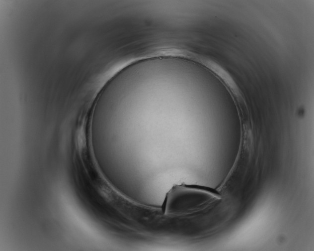 X0000101211439200807071328